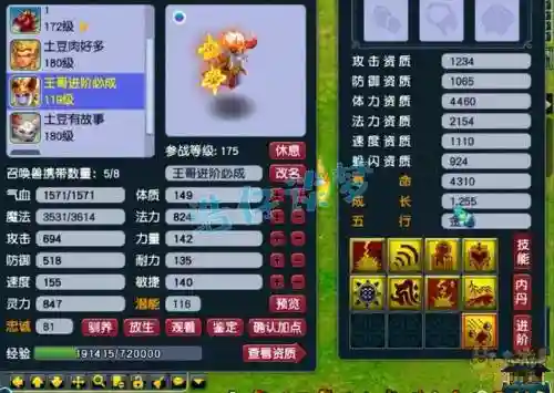 小资175五开阵容搭配(175五开最佳组合)插图12
