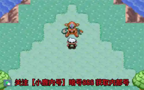 召唤流最强玩法阵容搭配(召唤走什么流派最厉害)插图1