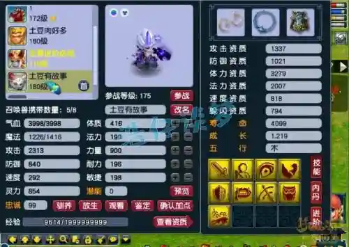 小资175五开阵容搭配(175五开最佳组合)插图13