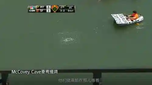 棒球阵容搭配图表高清图片(云顶之弈阵容搭配图表)插图8