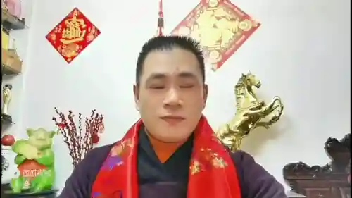 吉祥乌龟阵容怎么搭配好(龟是吉祥物吗)插图1