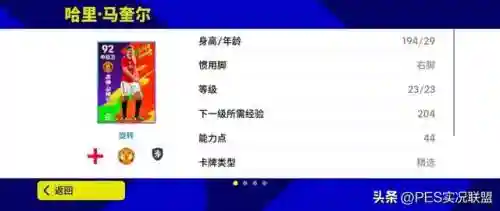 实况13明星阵容搭配(实况足球最佳阵容)插图6