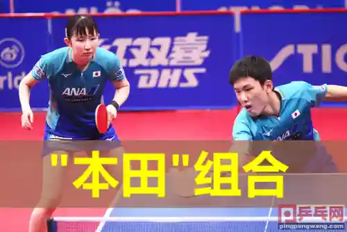 瑞典乒乓球混双四强阵容(乒乓球瑞典三剑客都有谁)插图1