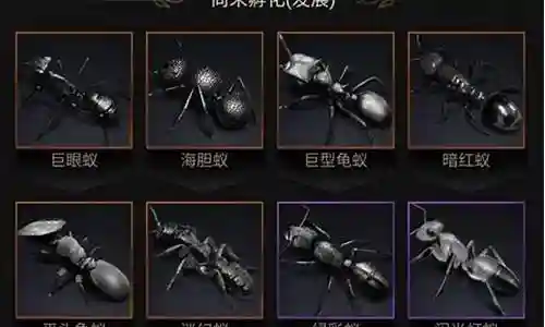 紫色蚂蚁阵容怎么搭配插图