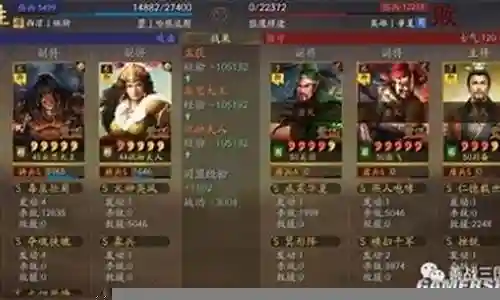 南蛮象阵容搭配思路插图