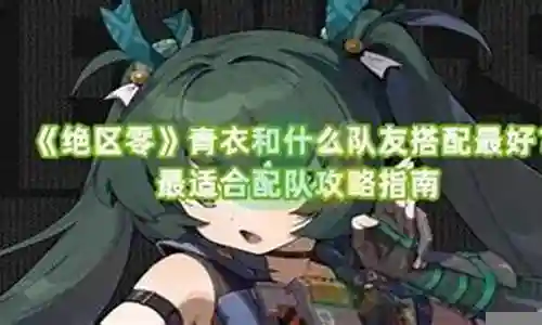 搭配什么队友最强阵容插图