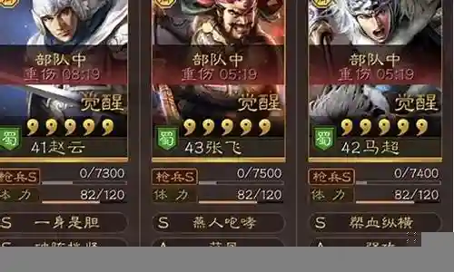 赵云传说阵容搭配插图