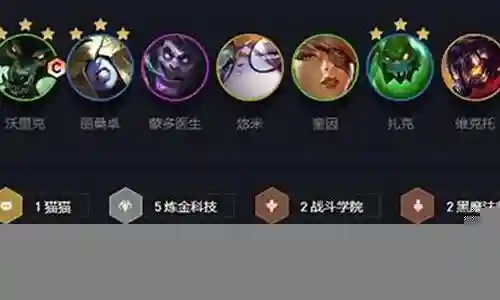 豪华送托阵容搭配插图