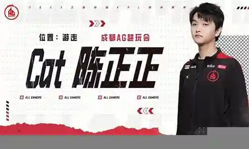 kpl猫咪搭配什么阵容插图