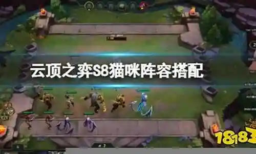 猫咪真身阵容搭配图表插图