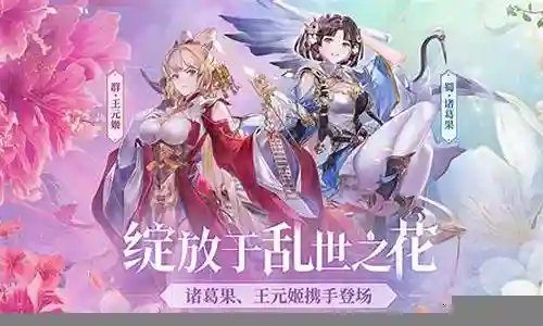 玄武搭配什么阵容好用啊插图