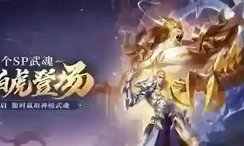老虎应该如何搭配阵容装备插图