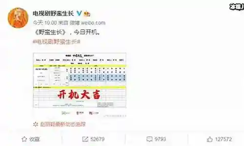 野蛮生长开机阵容搭配图插图