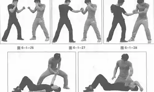 格斗擒拿组合阵容搭配图片插图