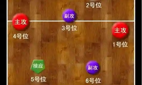 五一阵容搭配组织与教学插图