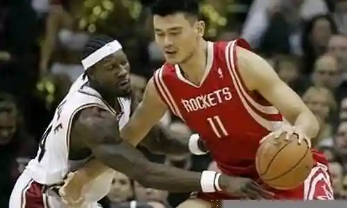 姚明2005最佳阵容插图