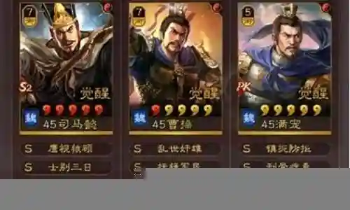 司马盾阵容的搭配方法插图
