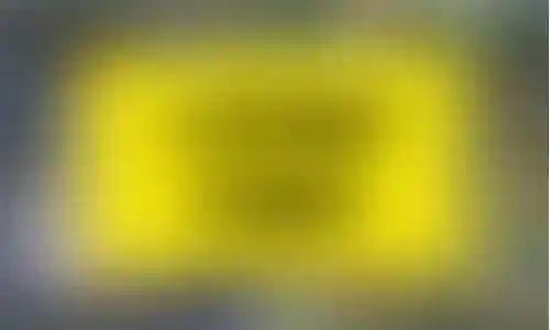 人环双开什么阵容插图