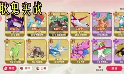 口袋觉醒妙蛙种子阵容搭配插图