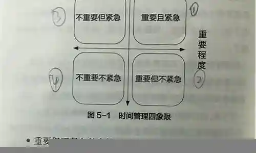 效率制胜的法宝阵容插图