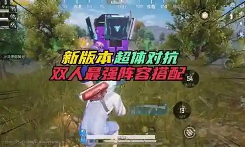 和平精英双辅助阵容搭配插图