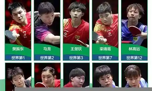 男乒梦幻阵容名单插图