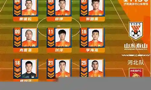 山东泰山2018阵容图片插图