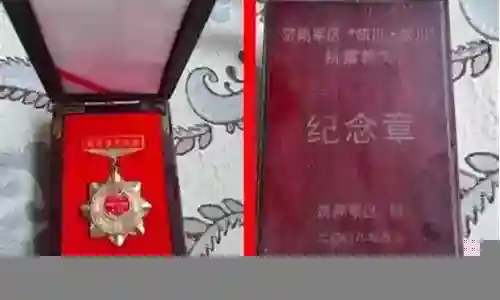 2020赛季毕业阵容选择插图