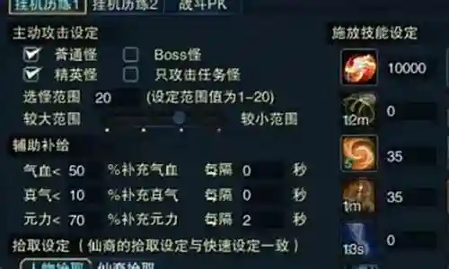 羽绒王技能设置插图