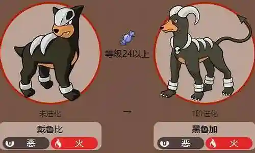 神奇宝贝黑鲁加阵容搭配插图
