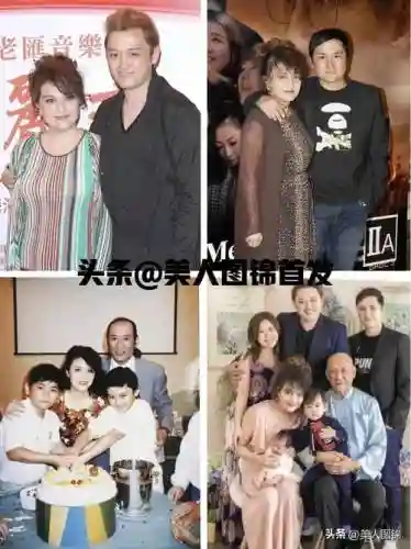 tvb混血阵容插图
