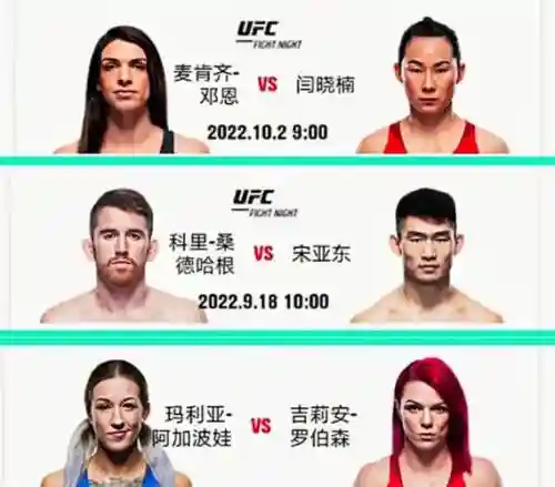 281阵容插图