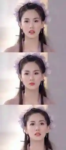 殷素素阵容脸插图