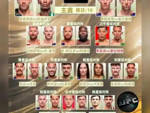 305阵容插图1