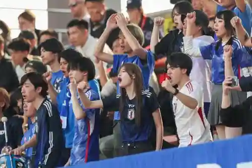 韩国阵容日本阵容图片大全插图