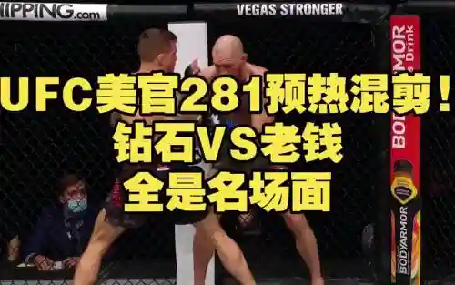 281阵容插图1