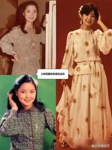 邓丽君阵容豪华插图