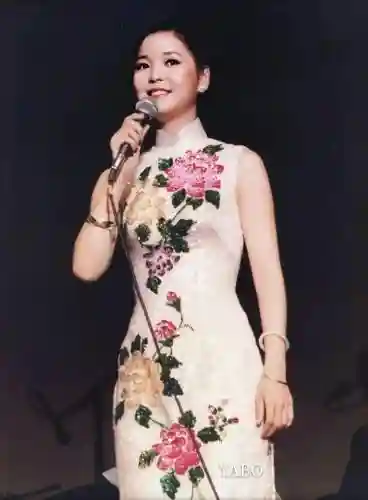 邓丽君阵容豪华插图1