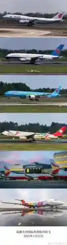 天府机场阵容插图
