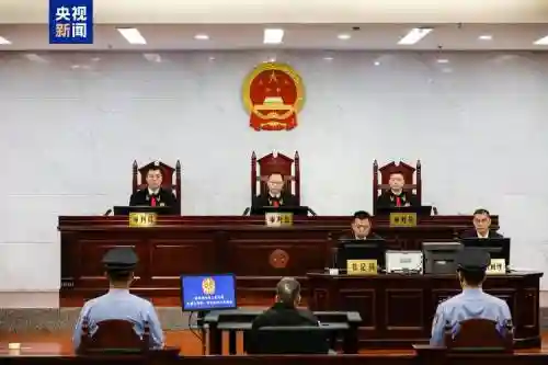 法庭最强阵容插图1