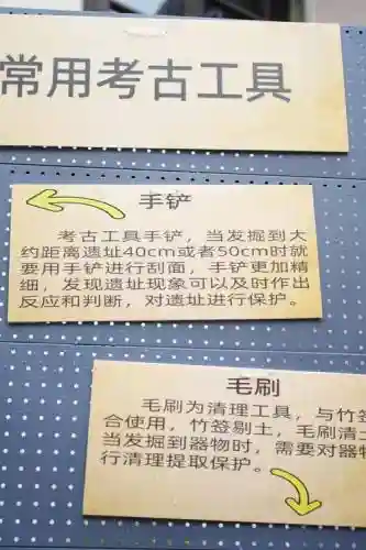 考古学家需要的技能插图1