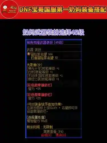 dnf奶妈装备穿什么甲插图1