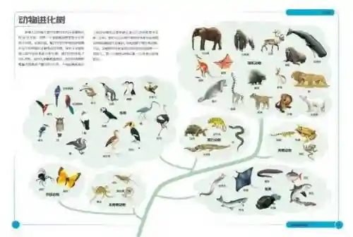 物种进化阵容插图