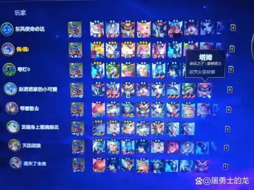 狮子白鲸阵容搭配插图1