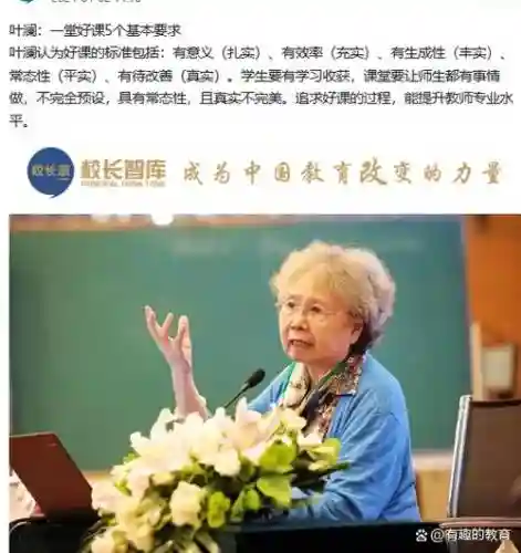 叶澜阵容插图