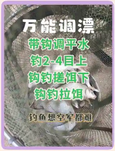 舰r钓鱼技能是什么意思_1插图