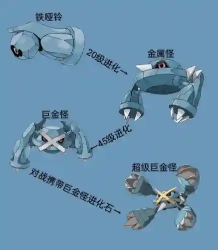 宝可梦巨金怪搭配阵容插图
