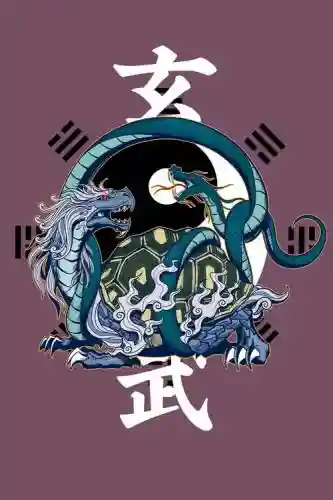 玄武龟阵容插图