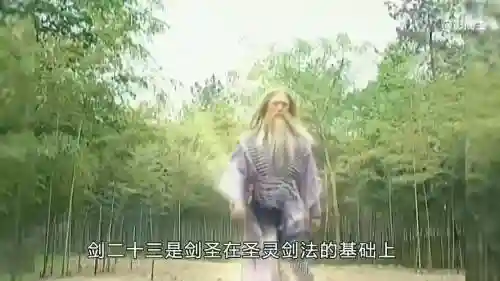 侠客风云传剑圣给什么武器插图