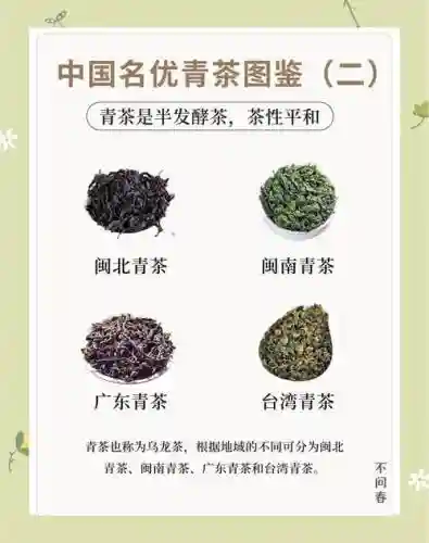 青茶阵容_1插图
